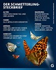 Schmetterlinge im Steckbrief: Diese Arten gibt es in Deutschland | Galileo