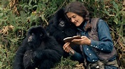 Dian Fossey: Secrets in the Mist Season 1 Streaming: Watch & Stream ...