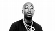 Freddie Gibbs 'Soul Sold Separately' Release Date & Cover | HipHopDX
