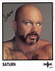 wcw perry saturn - Google Search | Saturn, Perry, Wrestling