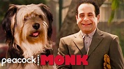 Best Moments of Monk and The Dog | Monk - YouTube