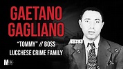 #1: Gaetano “Tommy” Gagliano: Original Boss, Lucchese Crime Family ...