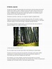 El Bambú Japonés Cuento Reflexivo | PDF