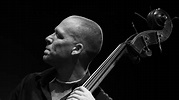 France Rocks | Avishai Cohen