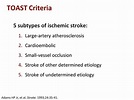 A Call to Action on Cryptogenic Stroke: Can Patient Outcomes Be Improved?