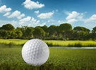 Palla Da Golf Ed Il Campo Da Golf Fotografia Stock - Immagine di bianco ...