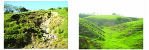 Erosión hídrica en cárcavas y remoción en masa en colinas de Macuspana ...
