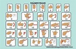 Los números en lenguaje de señas | Lenguaje de señas | Lenguaje de ...