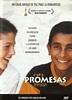 Promesas | Dvd Documental Nueva | Meses sin intereses