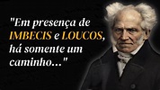 30 Grandes Citações de Arthur Schopenhauer - Melhores Citações - YouTube