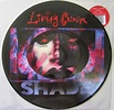 Living Colour - Shade (2017, Vinyl) | Discogs