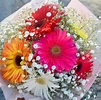 Details 200 gerberas con nube - Abzlocal.mx