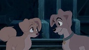 *ANGEL & SCAMP ~ Lady and the Tramp II: Scamp's Adventure, 2001 ...