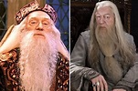 Richard Harris vs. Michael Gambon as Dumbledore in Harry Potter