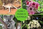FLORA y FAUNA de AUSTRALIA - Características y ejemplos