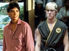 Ralph Macchio Is the Karate Kid Once Again for New TV Show - E! Online - UK