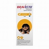 Bravecto: Topical Flea and Tick for Dogs | Dogs & Puppies Best topical ...