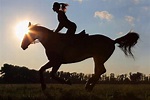 7 Beneficios de Montar a caballo - Gustavo Mirabal Castro