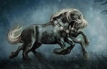 Top 10 Mythische Pferde & ihre Mythologie (Geschichte & Bilder ...