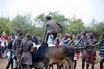 Bull-jumping Ceremony (3) | Turmi | Pictures | Ethiopia in Global-Geography