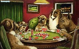 Dogs Playing Poker Wallpaper (62+ images)