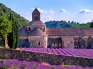 5 Reasons to Visit Provence in the Spring - TravelAlerts