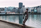 50 FREE Things to do in Wellington | All Free Activities