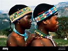 Zulú jóvenes mujeres vistiendo ornamentos típicos, Sudáfrica Fotografía ...