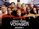 Star Trek Voyager: Season 1 - Review - Stephen J. Bedard