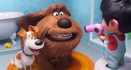 Review: The Secret Life of Pets 2 | The GATE