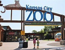 Adventures Among Us: Kansas City Zoo, Kansas City, MO