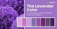 Lavender Color: Shades, Tones & Variations of Lavender Colour