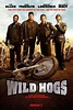 Wild Hogs (2007) - FilmAffinity