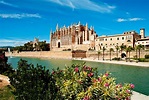 Escursione del castello di Bellver e del centro storico di Palma di ...