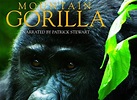 Mountain Gorilla TV Show Air Dates & Track Episodes - Next Episode