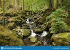 Wilder Strom in Der Landschaft Des Bayerischen Waldes Stockfoto - Bild ...