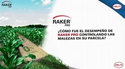 RAKER PRO | HELM CROP PROTECTION - YouTube