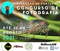 Primeira edição do Concurso de Fotografia ‘Cigarras de Portugal’ | ULisboa