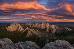 The Hills Are Alive | Black Hills | South Dakota | Max Foster Photography