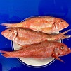Red Mullet (Gutted) | Eat More Fish | Nationwide Delivery