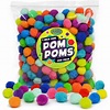 Pom Poms, Color Sorting in Bright & Bold Assorted Colors, Craft Pom Pom ...