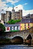 Enniscorthy Castle in Ireland. Castles In Ireland, Visit Ireland ...