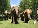 Por la senda de los elefantes...en los parques de Londres | Medio Ambiente