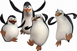 Madagascar penguins PNG transparent image download, size: 1756x1175px