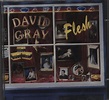 David Gray Flesh - 1st UK CD album (CDLP) (289946)