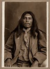 Apache Scout John Mutton 1886 Native American Pictures, Indian Pictures ...