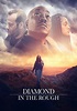 Watch Diamond in the Rough (2019) - Free Movies | Tubi