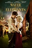 iTunes - Movies - Water for Elephants