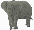 elephant clipart - Clip Art Library