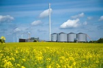 Biomass: the hidden face of the Energiewende - Energy Post